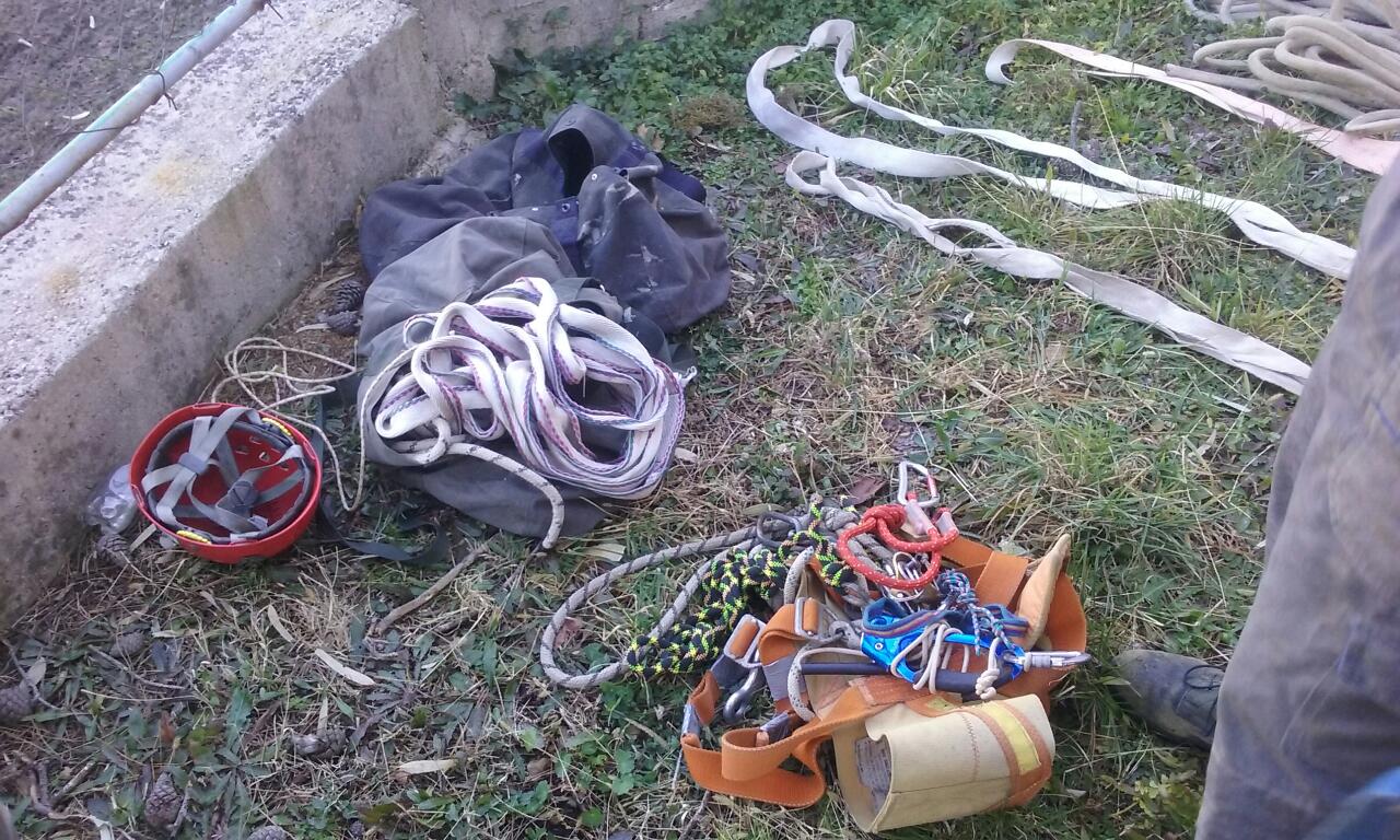 Uklanjanje osušenih borova